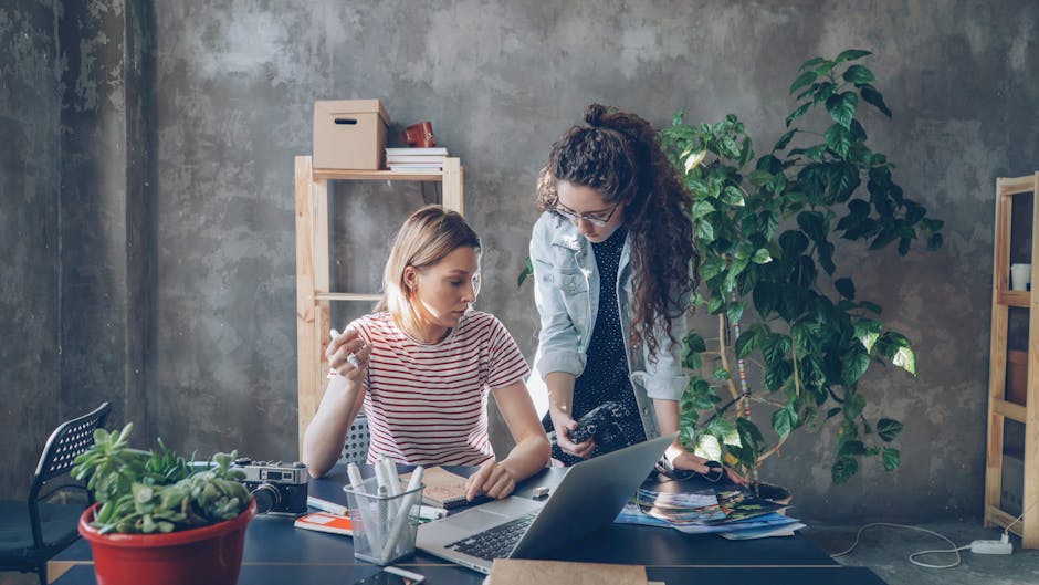 Курсы программирования и веб-дизайна