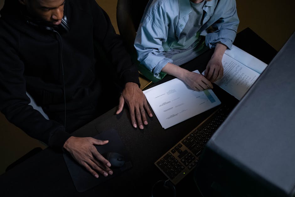 Курсы программирования и веб-дизайна